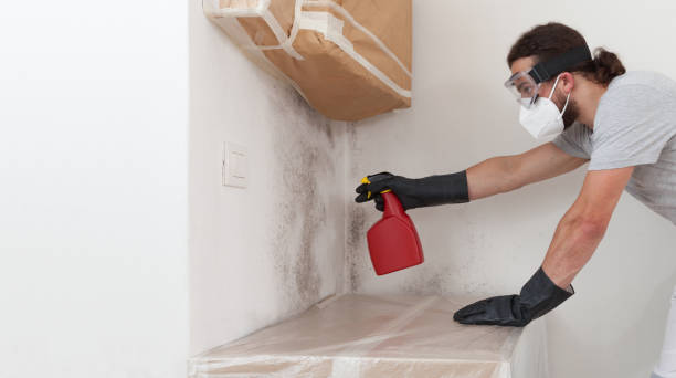 Professional Mold Inspection And Testing technician working in Fennville, MI